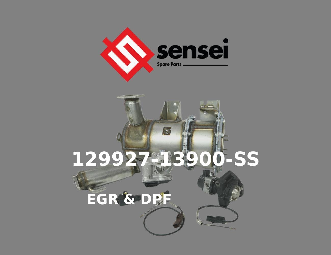 129927-13900-SS