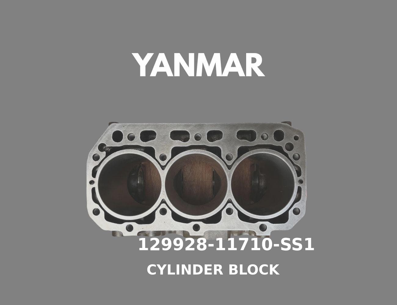 129928-11710-SS1