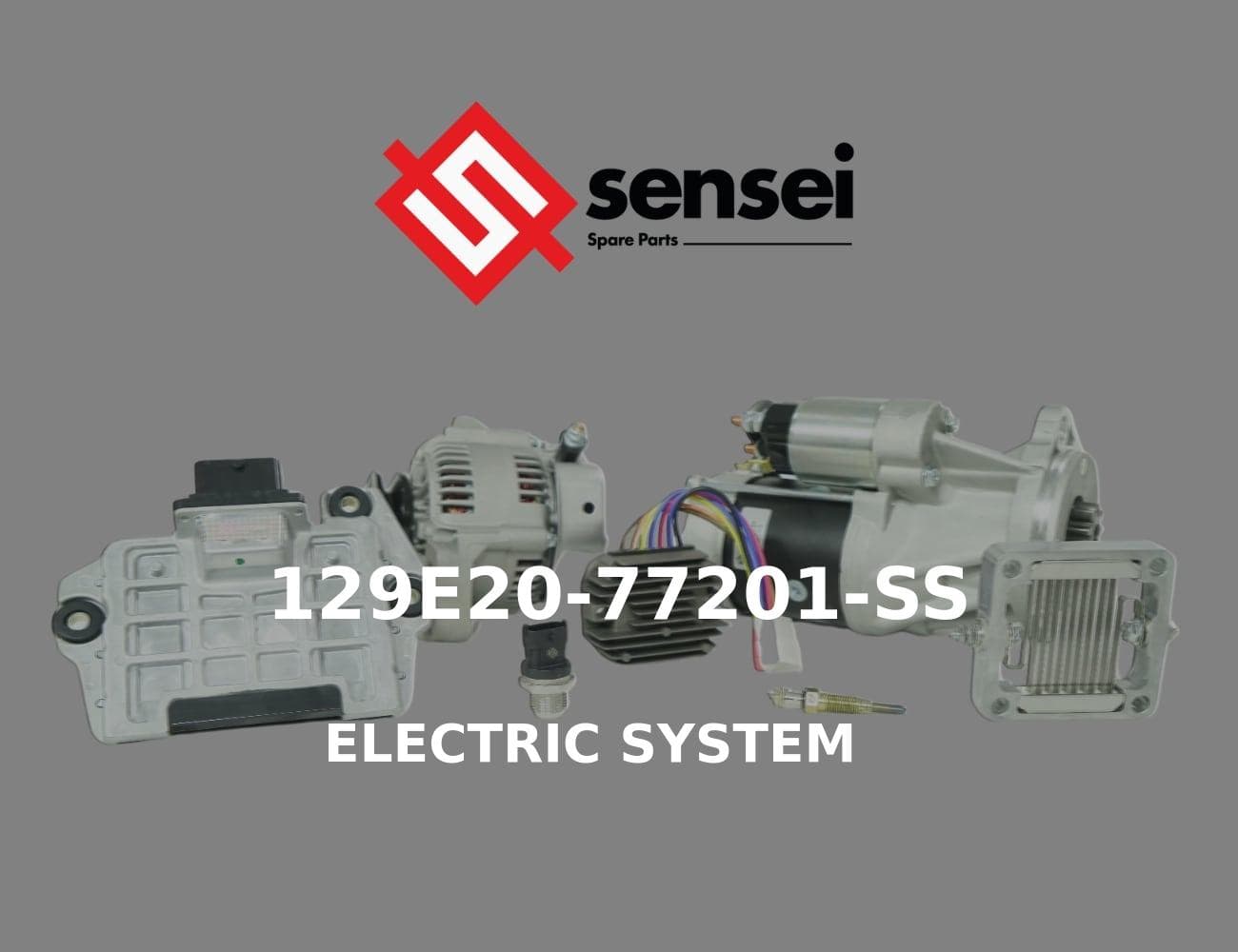 129E20-77201-SS