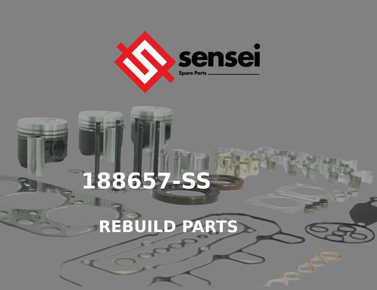 129601-11310-SS