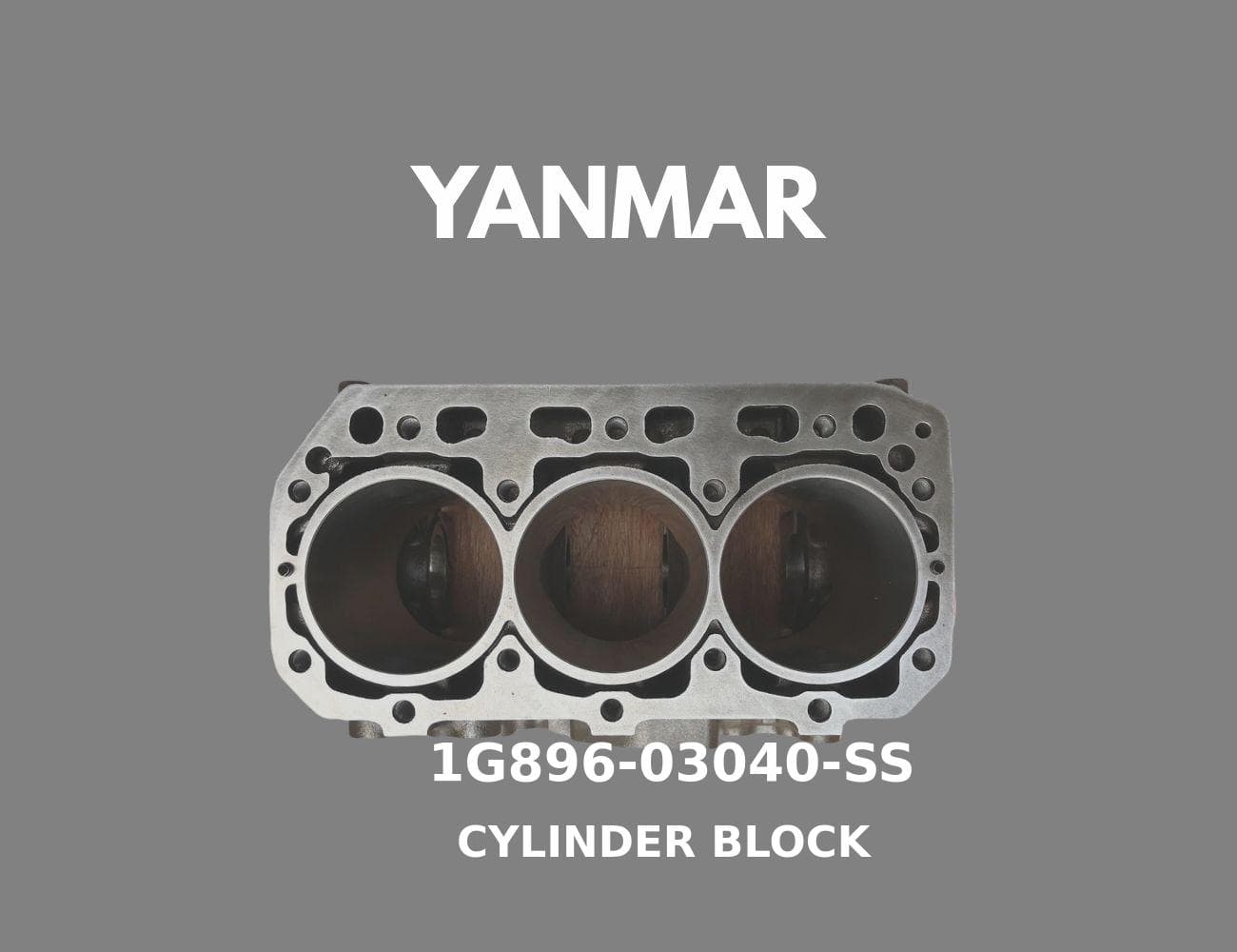 1G896-03040-SS
