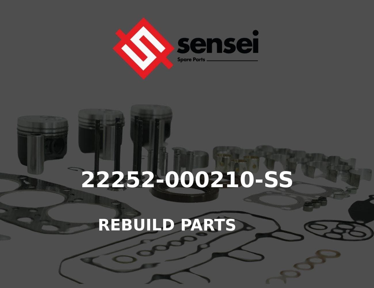22252-000210-SS