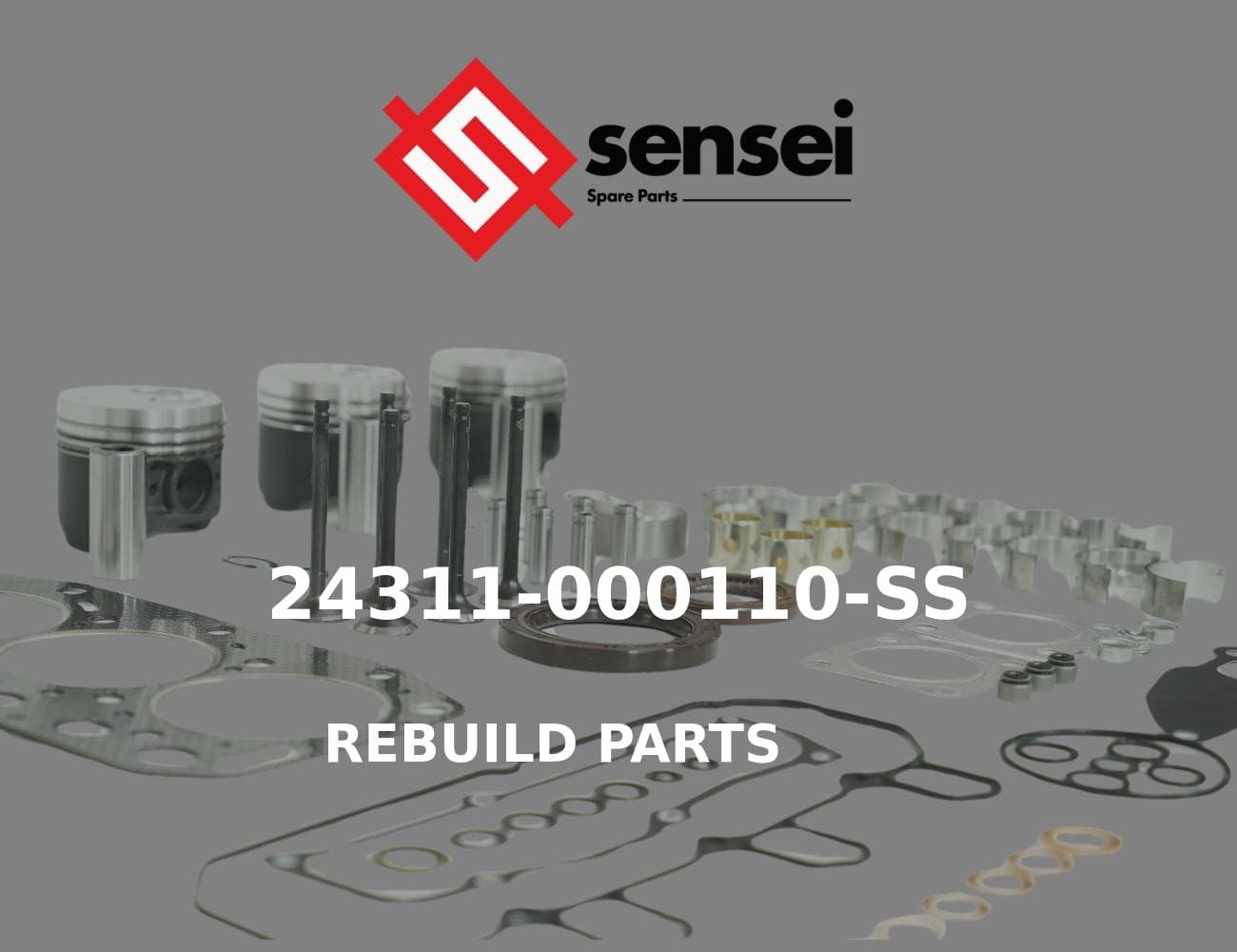 24311-000110-SS
