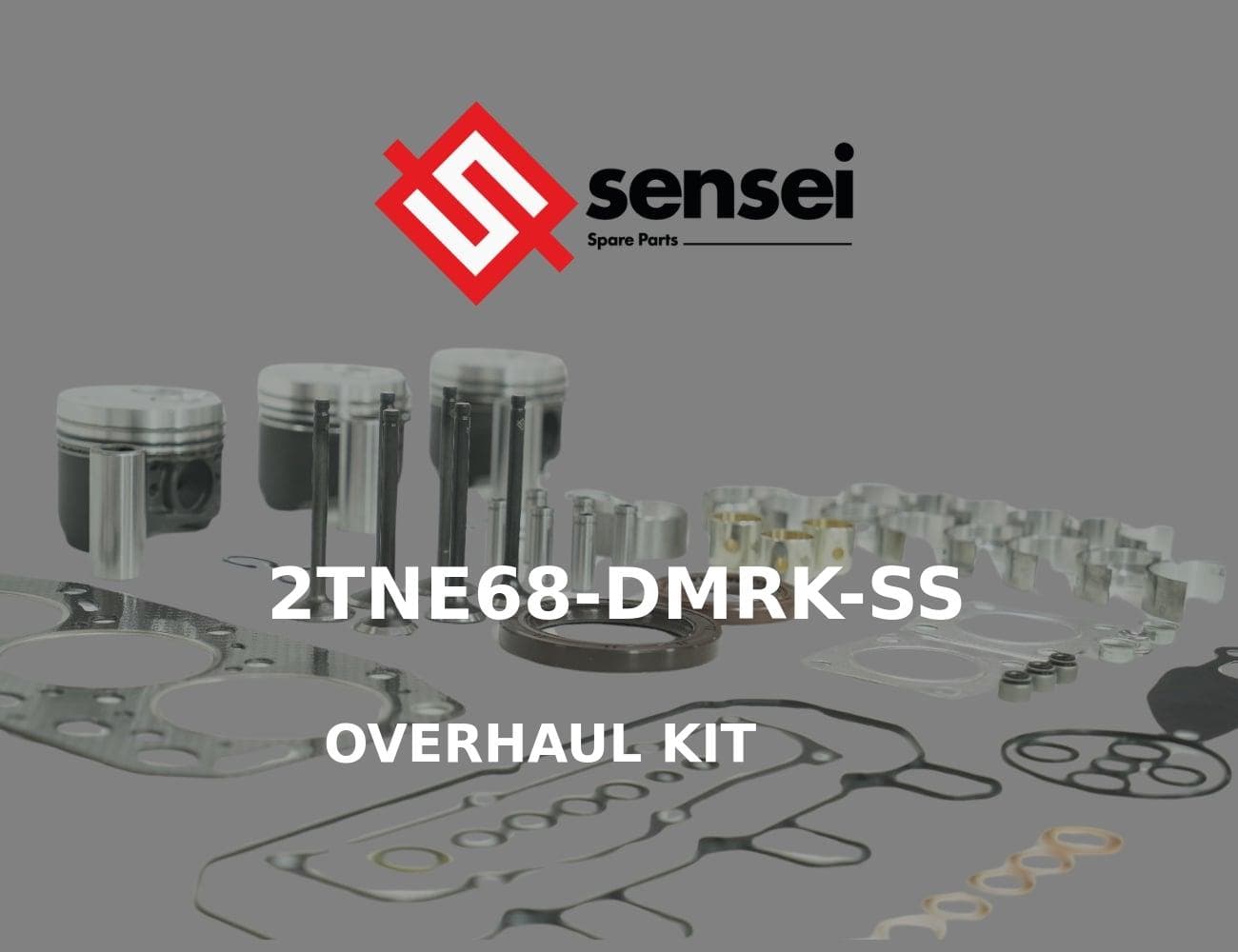 2TNE68-DMRK-SS