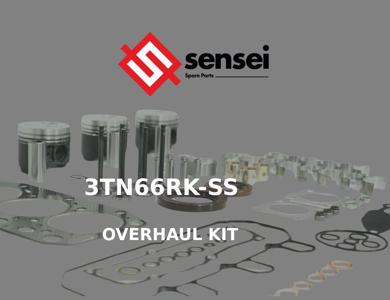 3TN66RK-SS