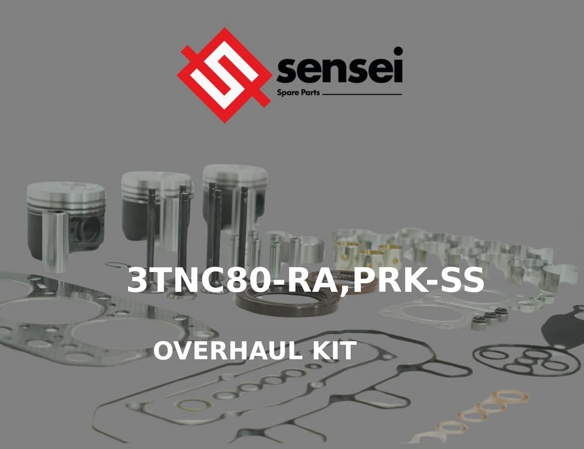 OVERHAUL KIT