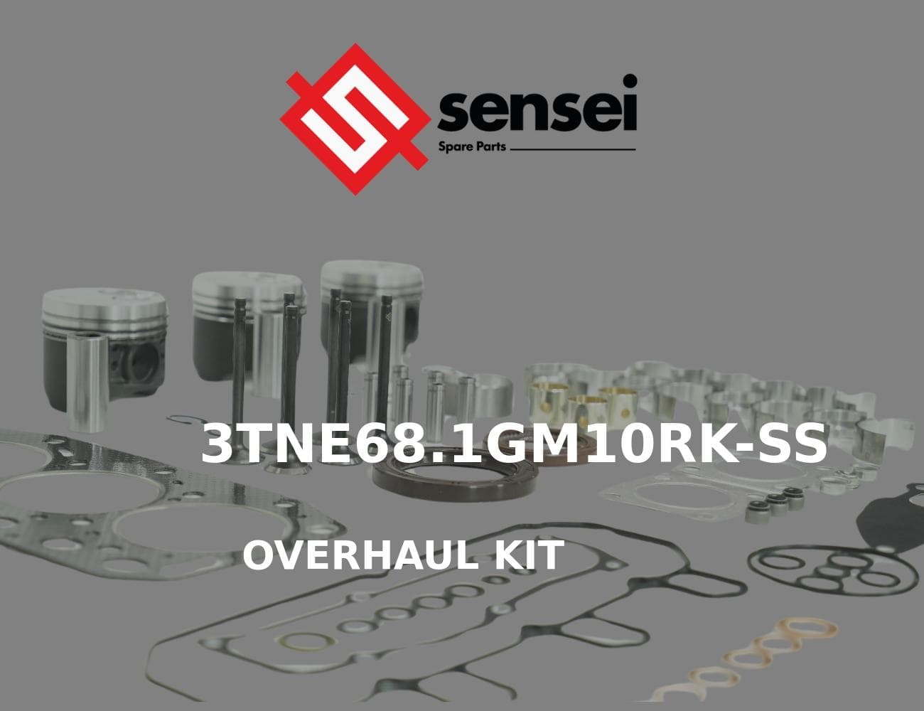 3TNE68.1GM10RK-SS