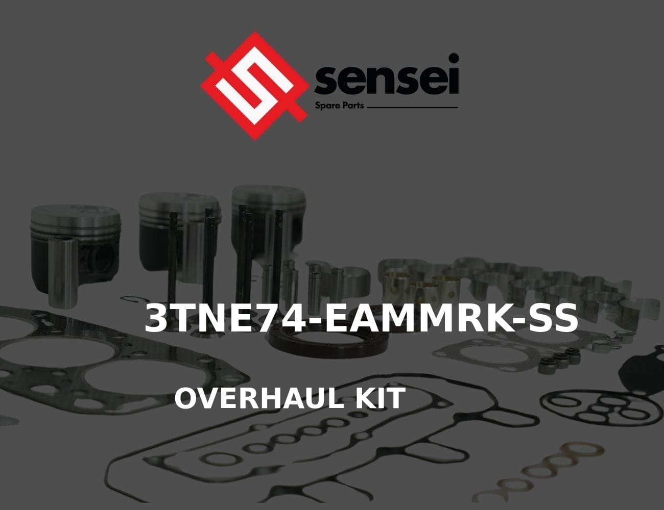 3TNE74-EAMMRK-SS