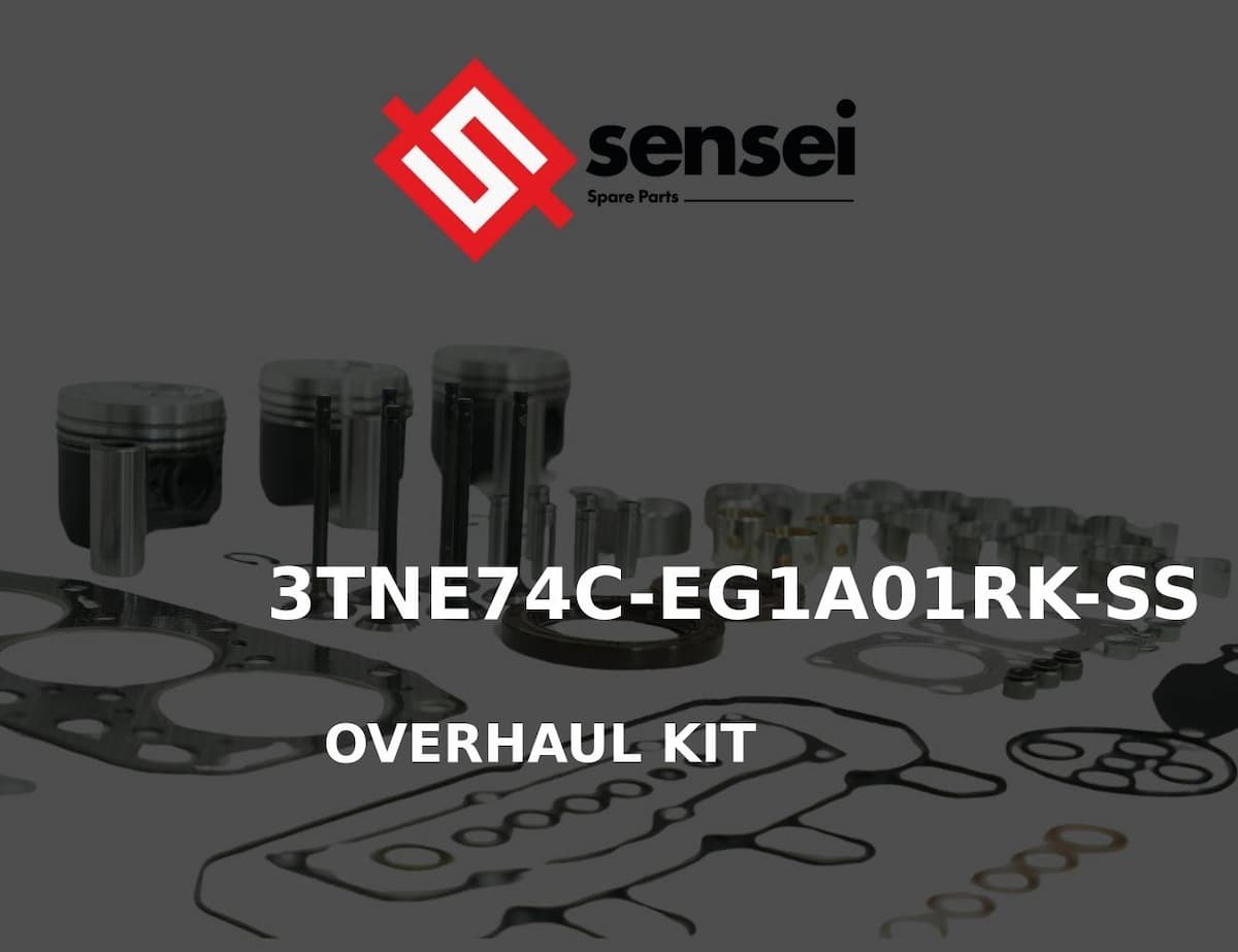 OVERHAUL KIT