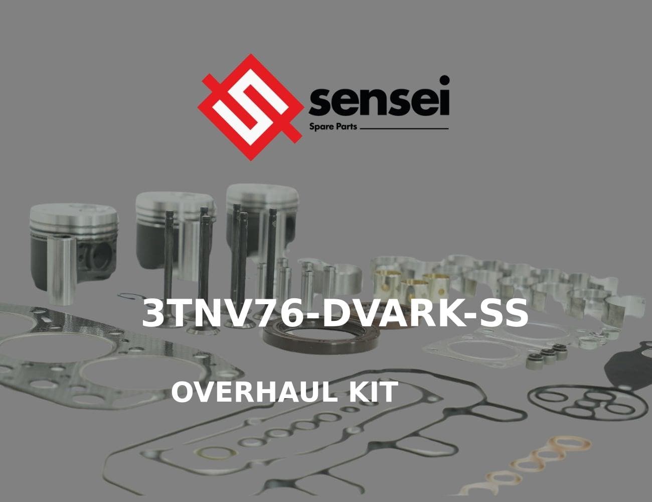 3TNV76-DVARK-SS