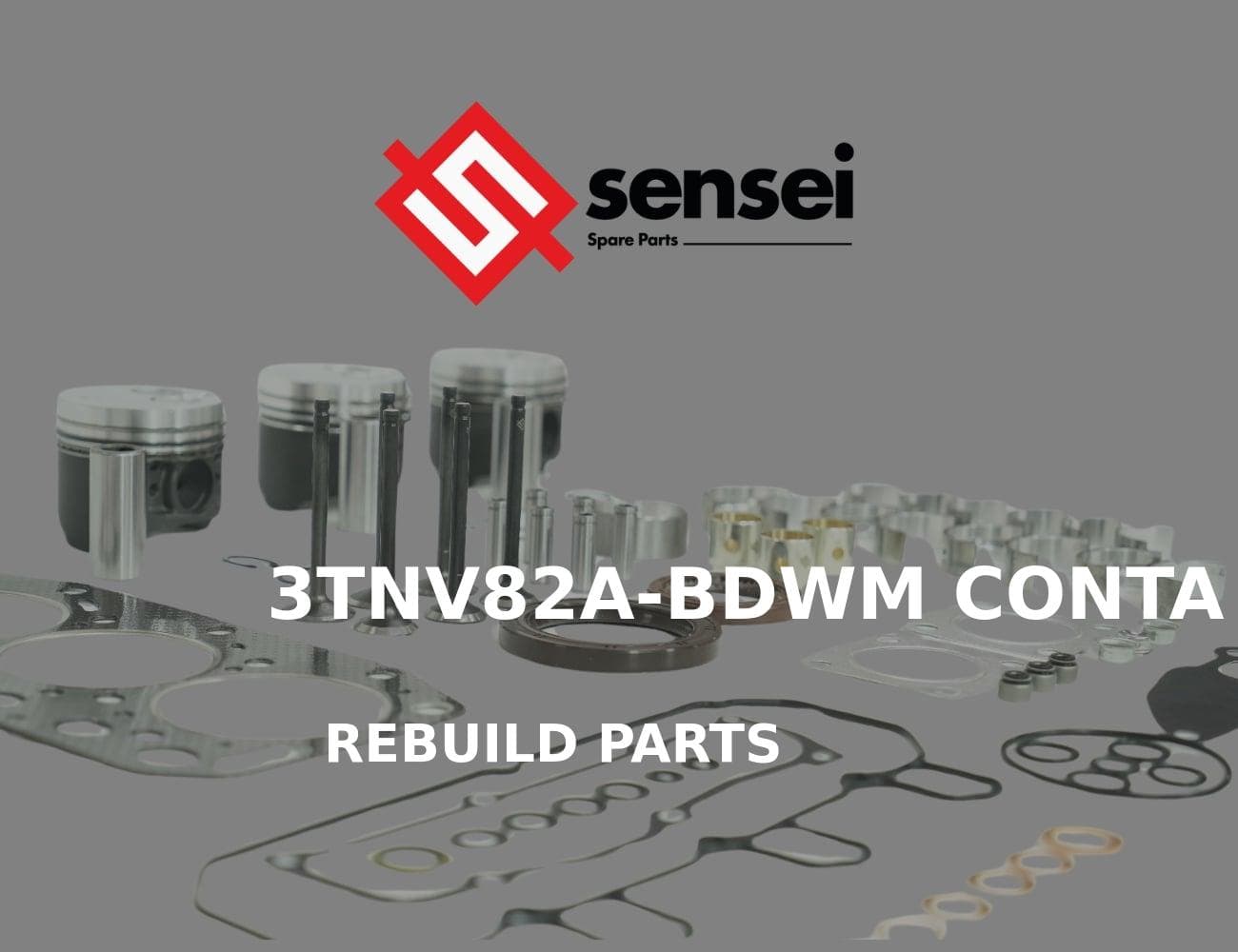 3TNV82A-BDWM CONTA TAKIMI-SS