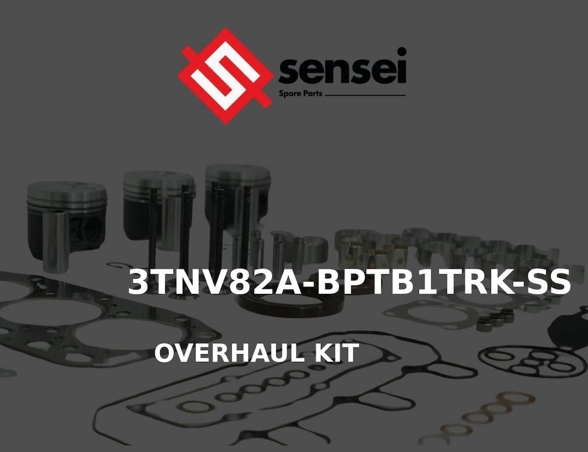 OVERHAUL KIT