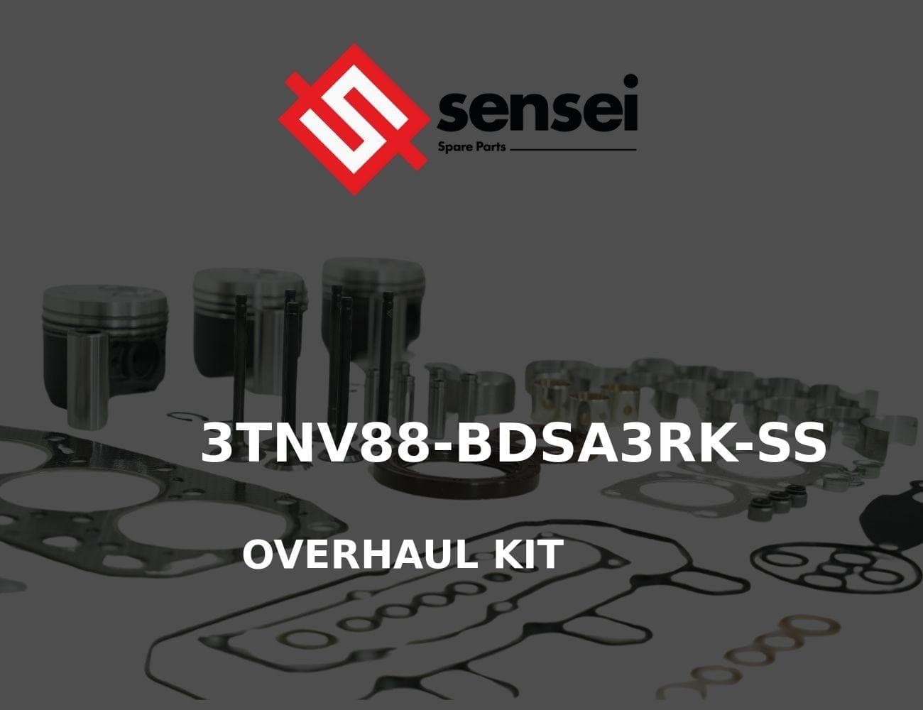 3TNV88-BDSA3RK-SS