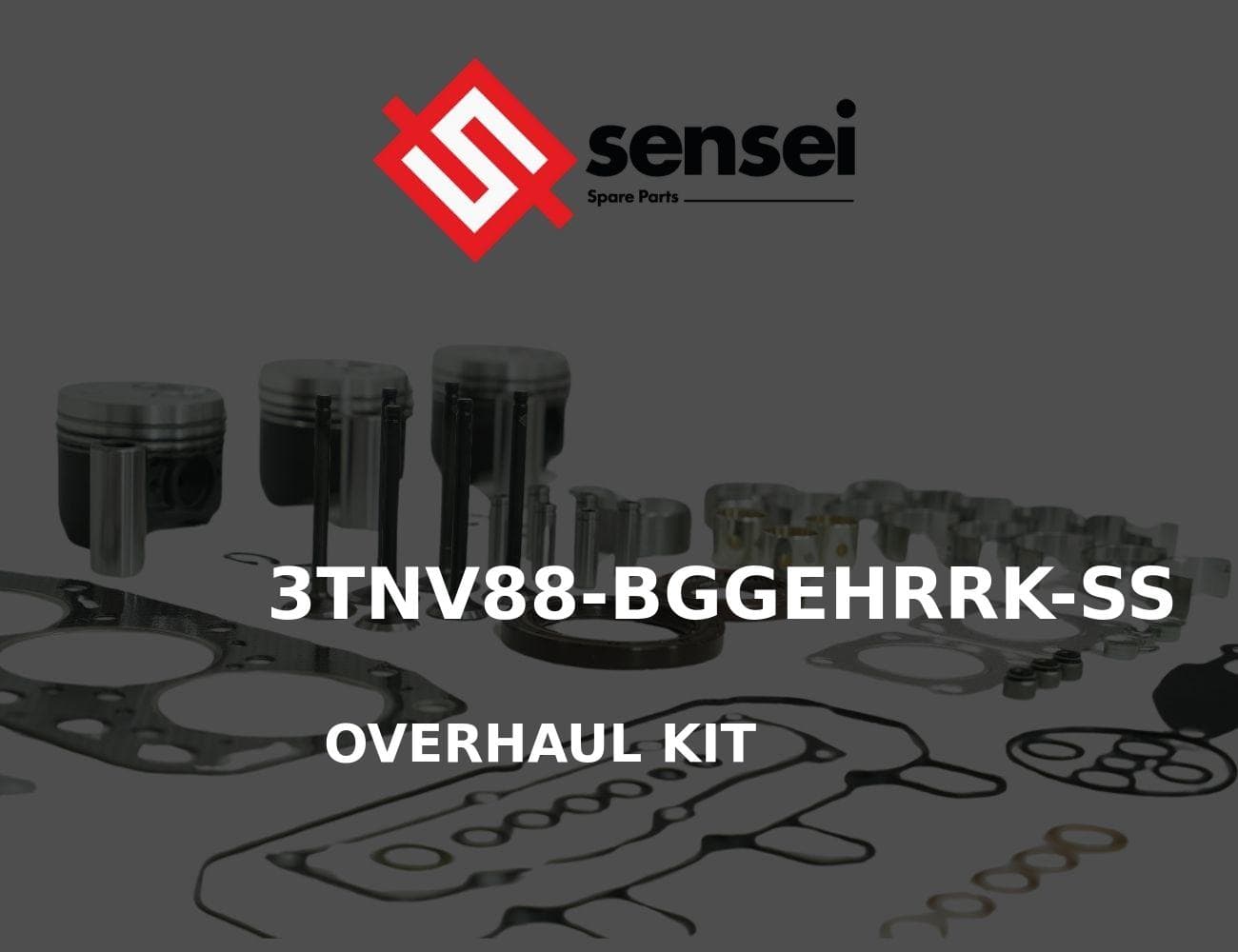 3TNV88-BGGEHRRK-SS