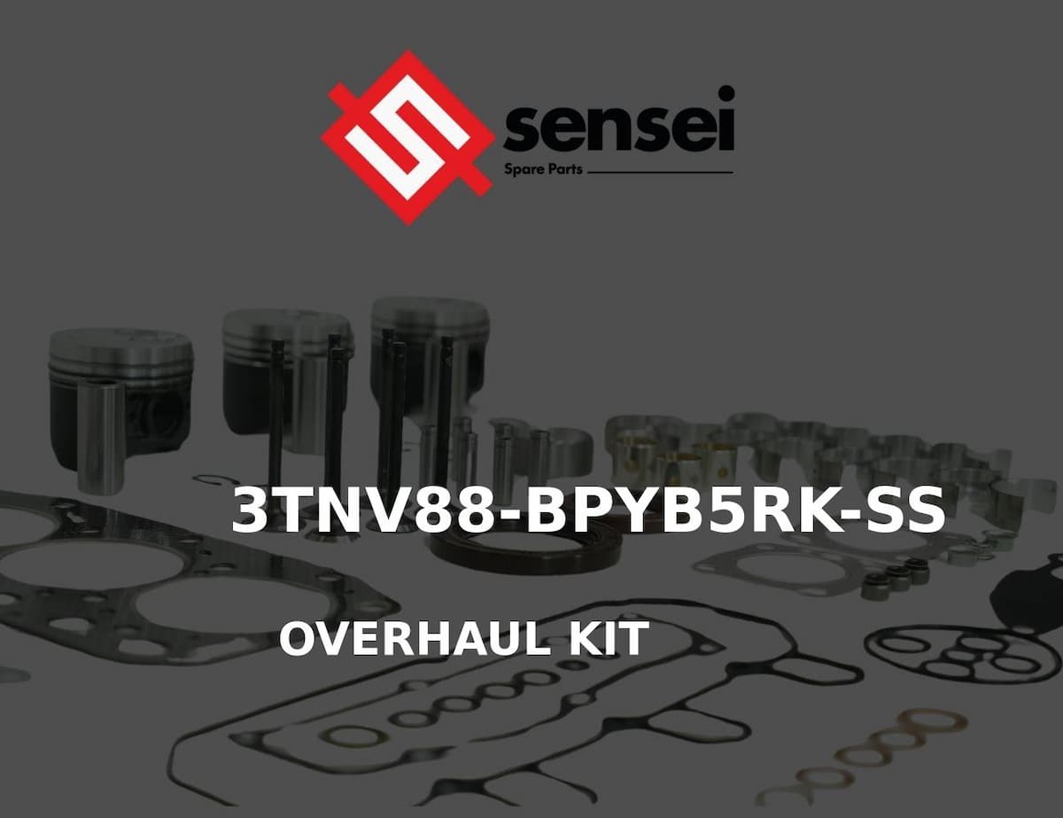 OVERHAUL KIT