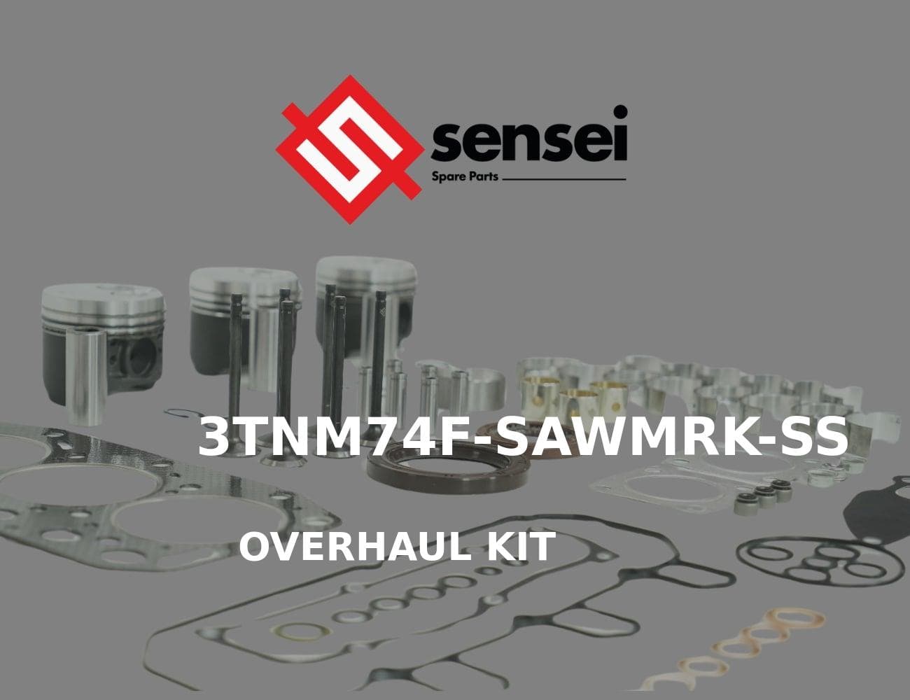 3TNM74F-SAWMRK-SS