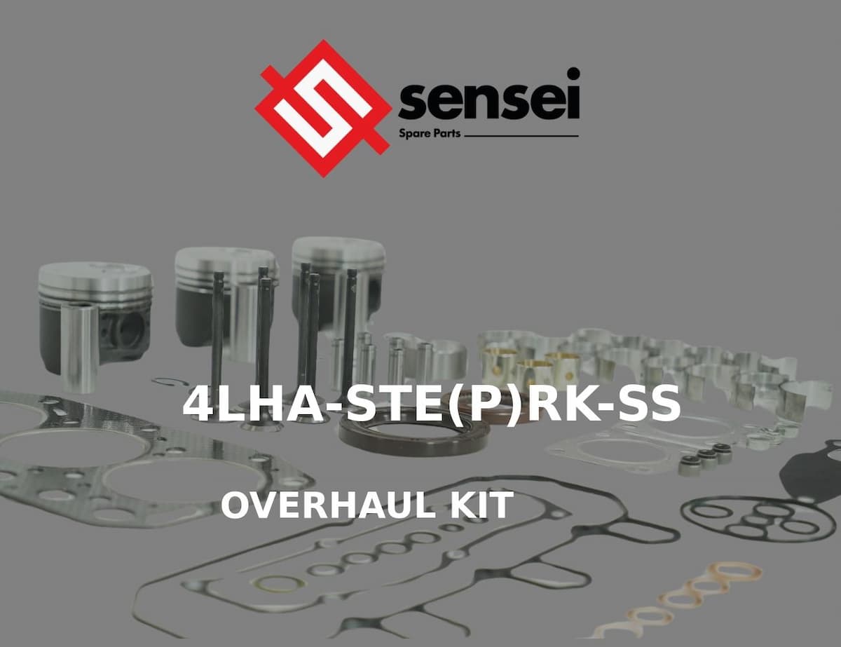 OVERHAUL KIT