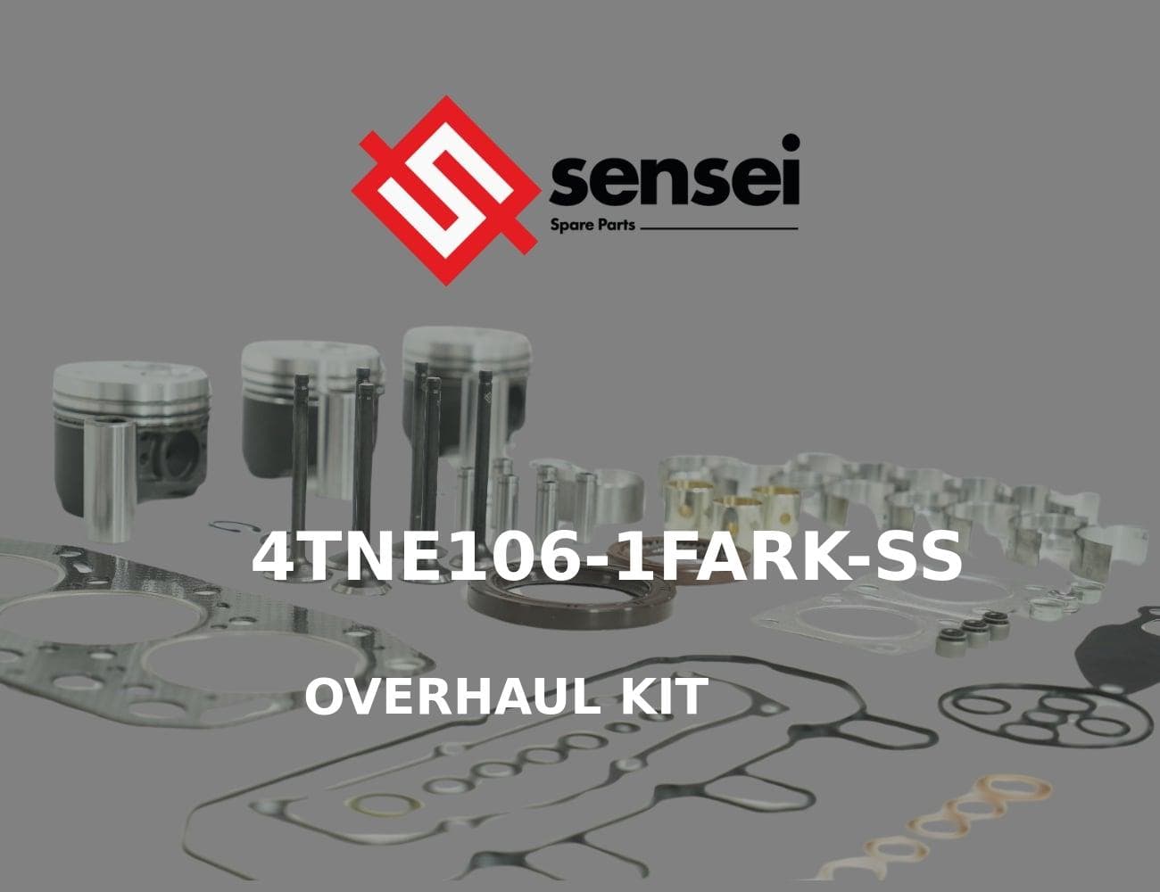 4TNE106-1FARK-SS