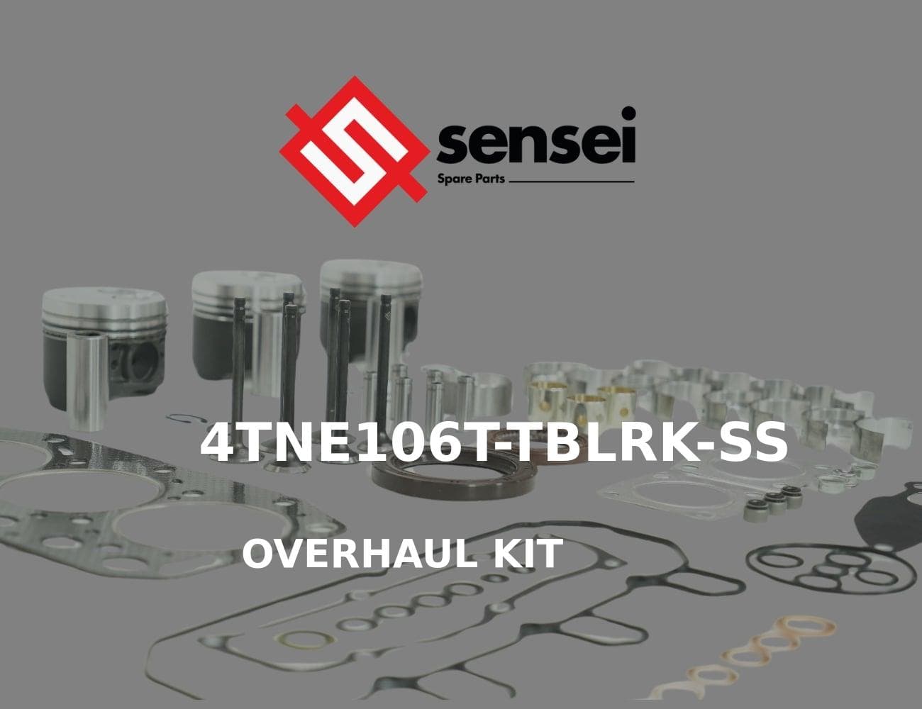 4TNE106T-TBLRK-SS