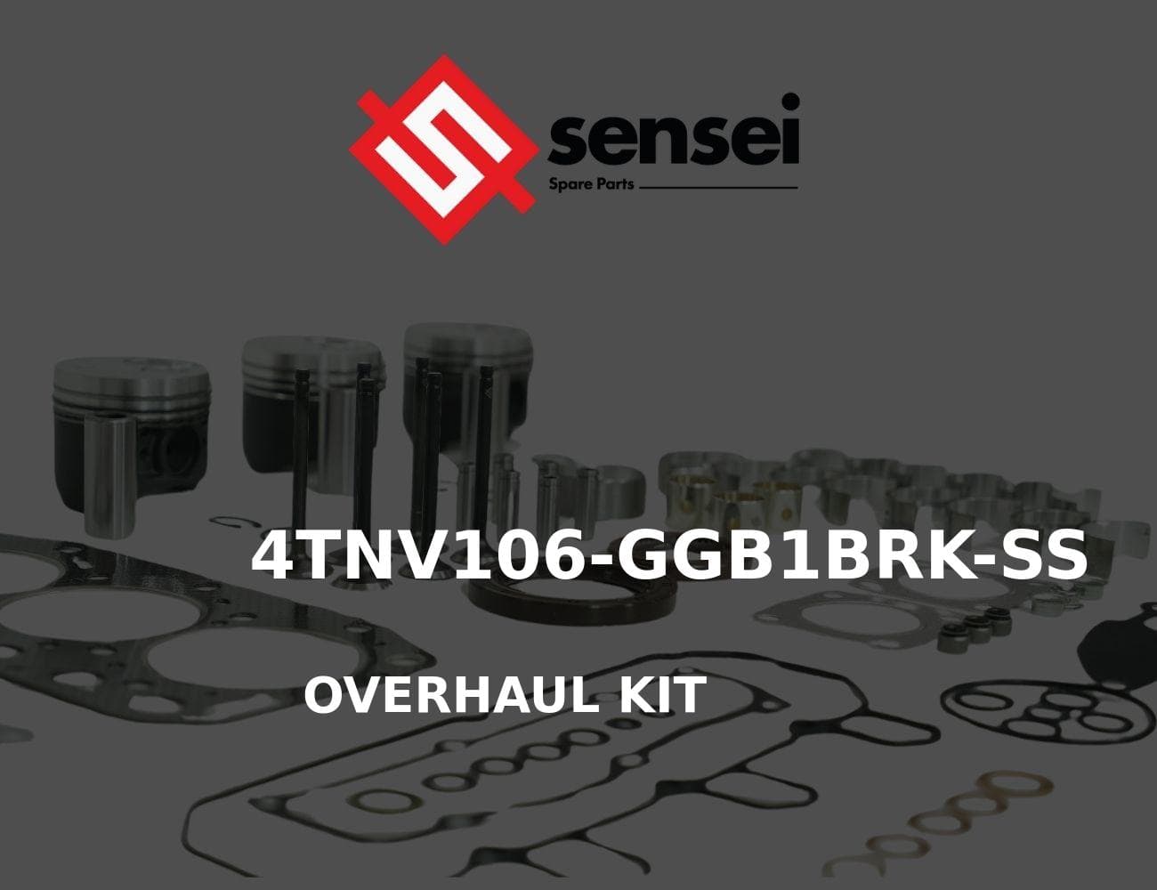 4TNV106-GGB1BRK-SS