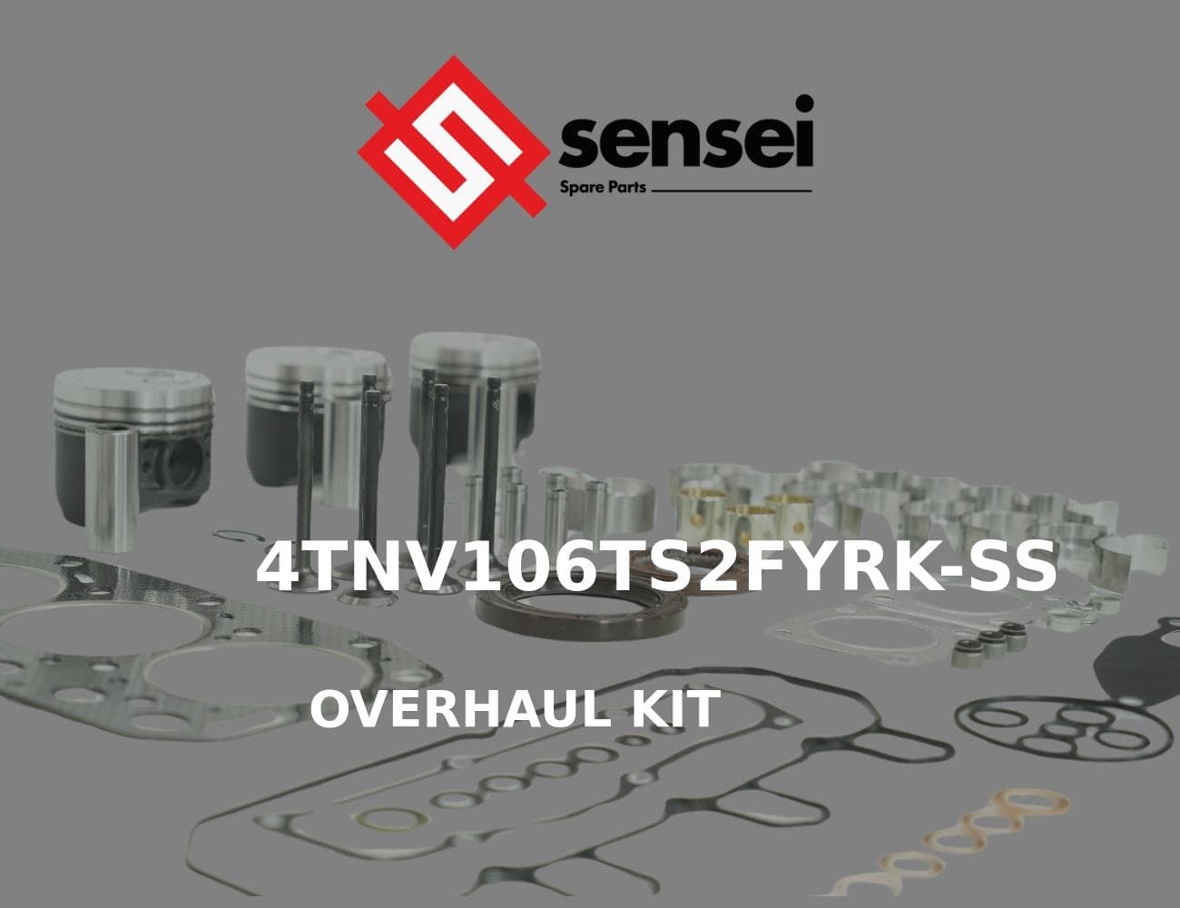 4TNV106TS2FYRK-SS