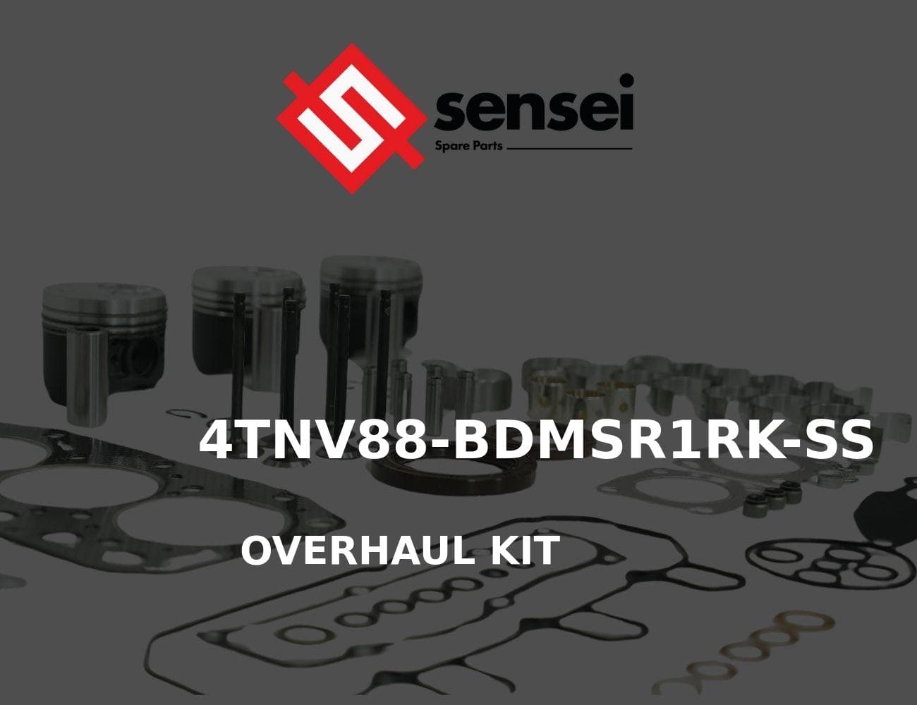 4TNV88-BDMSR1RK-SS