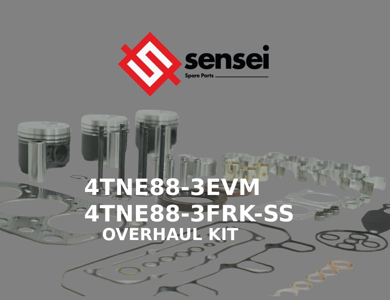 4TNE88-3EVM
4TNE88-3FRK-SS