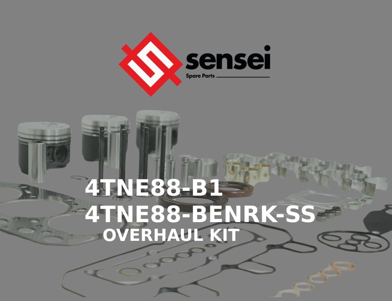 4TNE88-B1
4TNE88-BENRK-SS