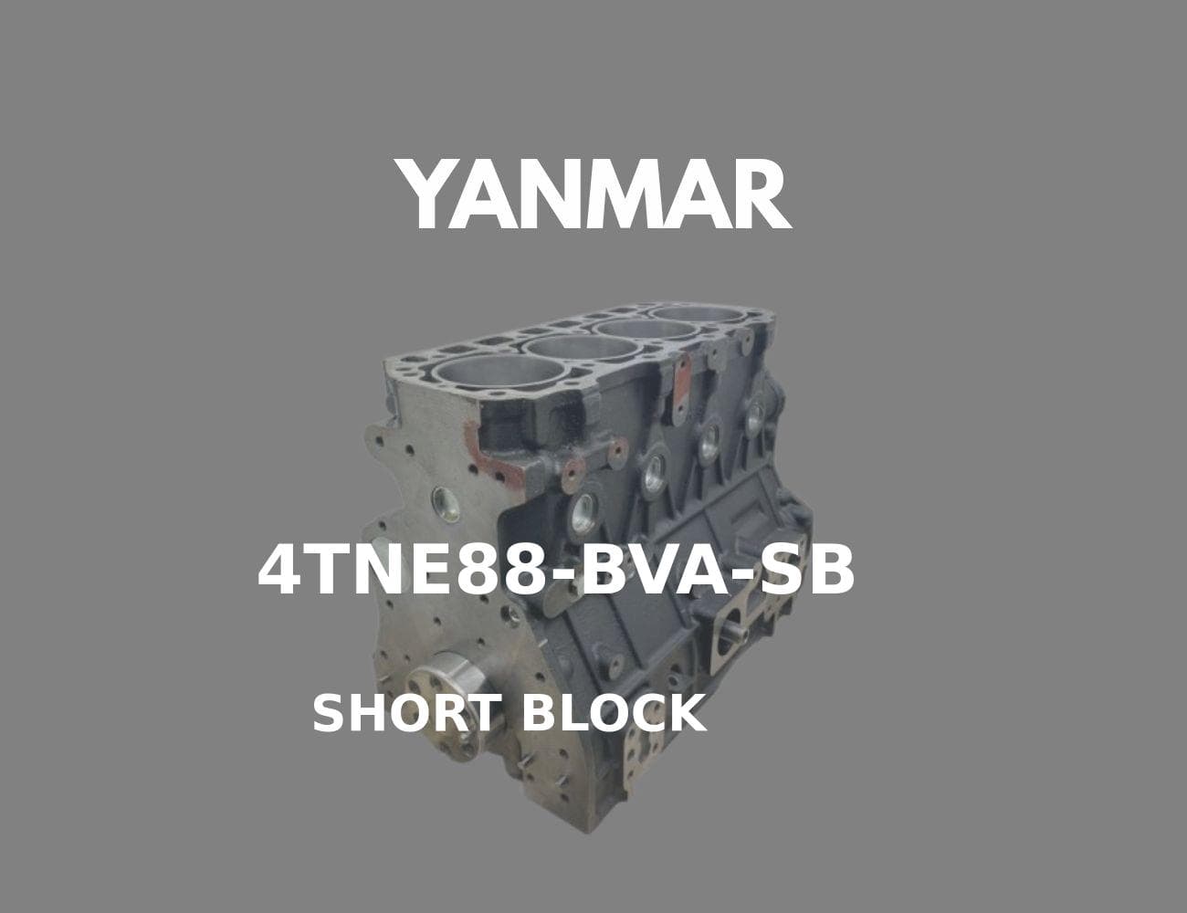 SB-4TNE88-S