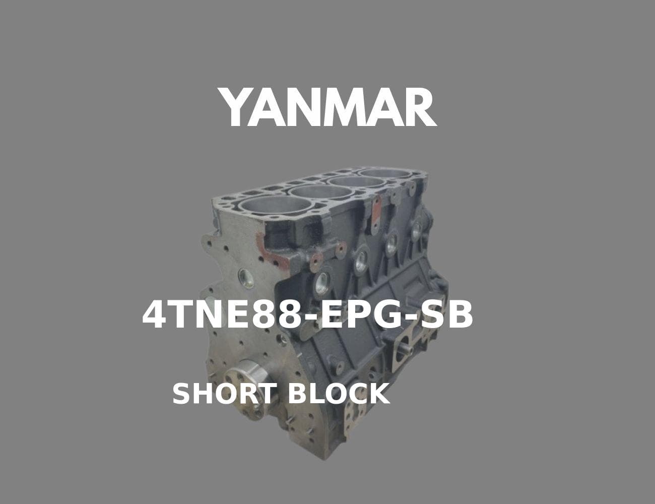 SB-4TNE88-S