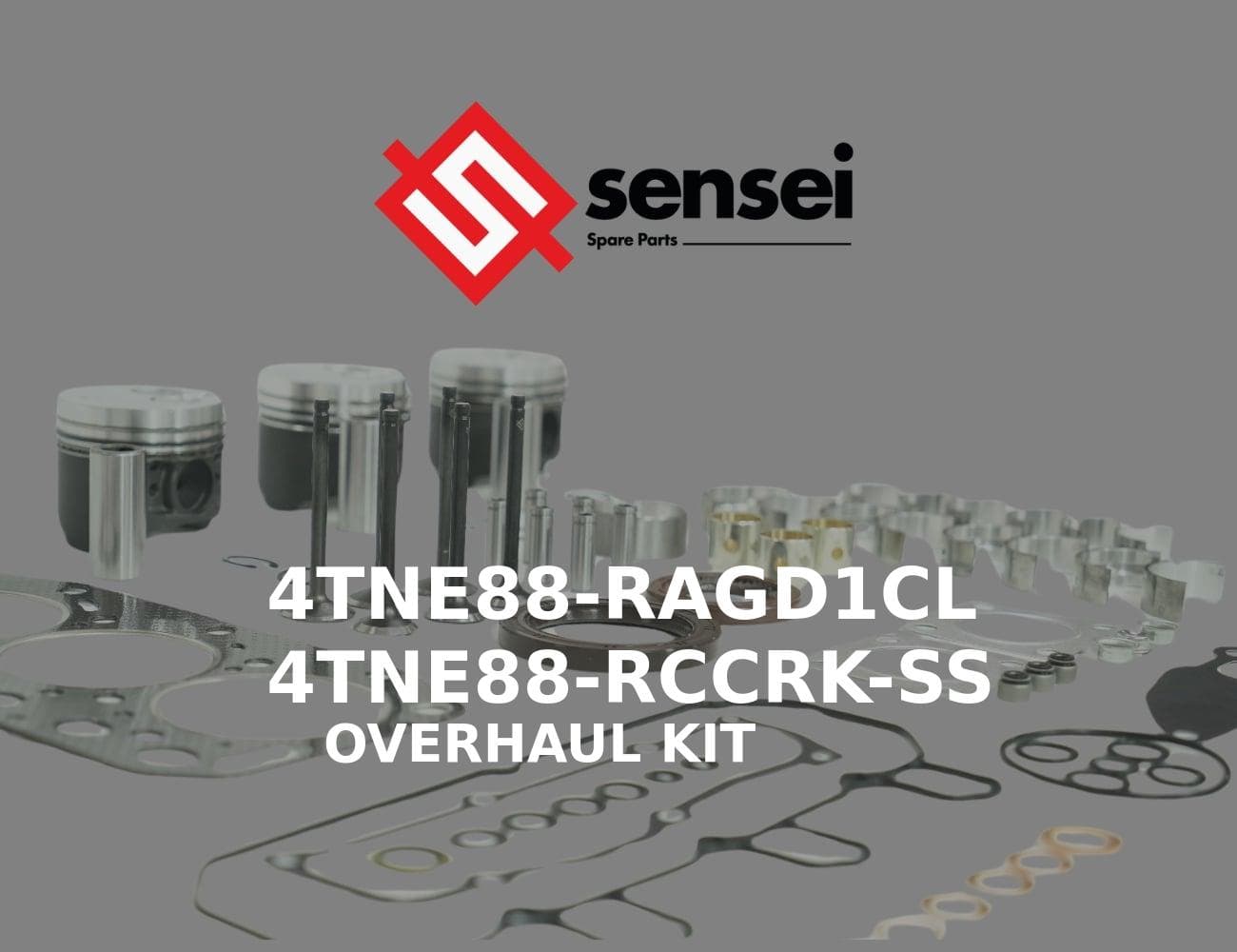 4TNE88-RAGD1CL
4TNE88-RCCRK-SS