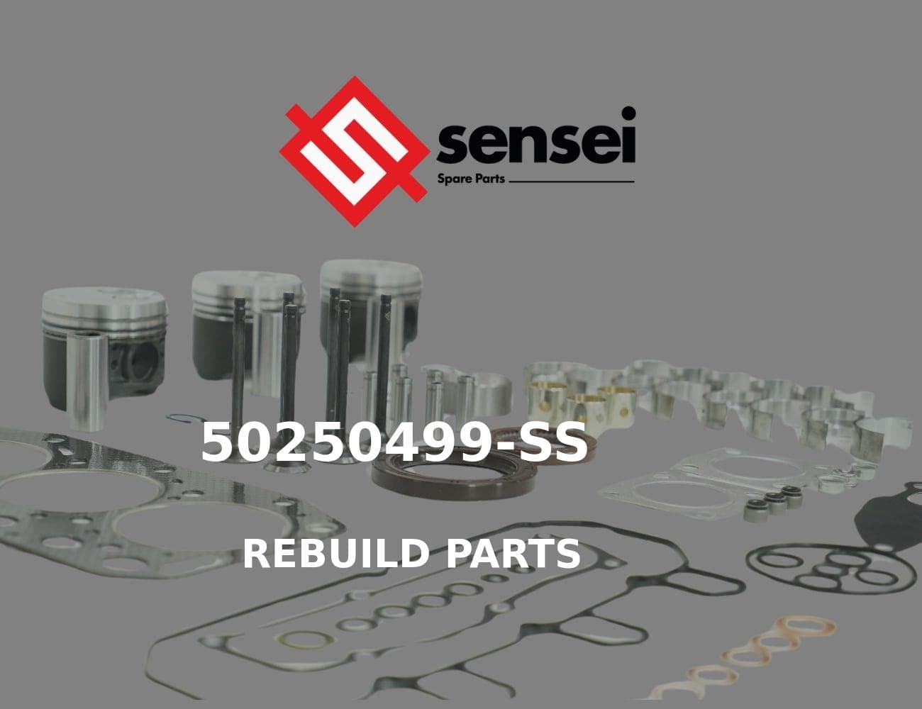 129E00-22900-SS