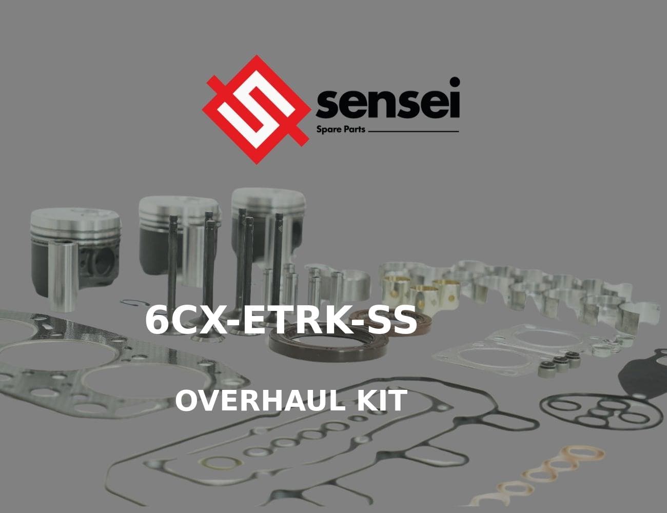 6CX-ETRK-SS
