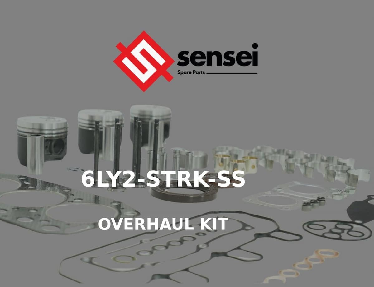 OVERHAUL KIT