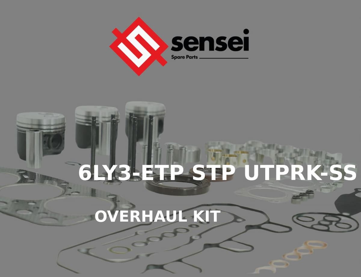OVERHAUL KIT
