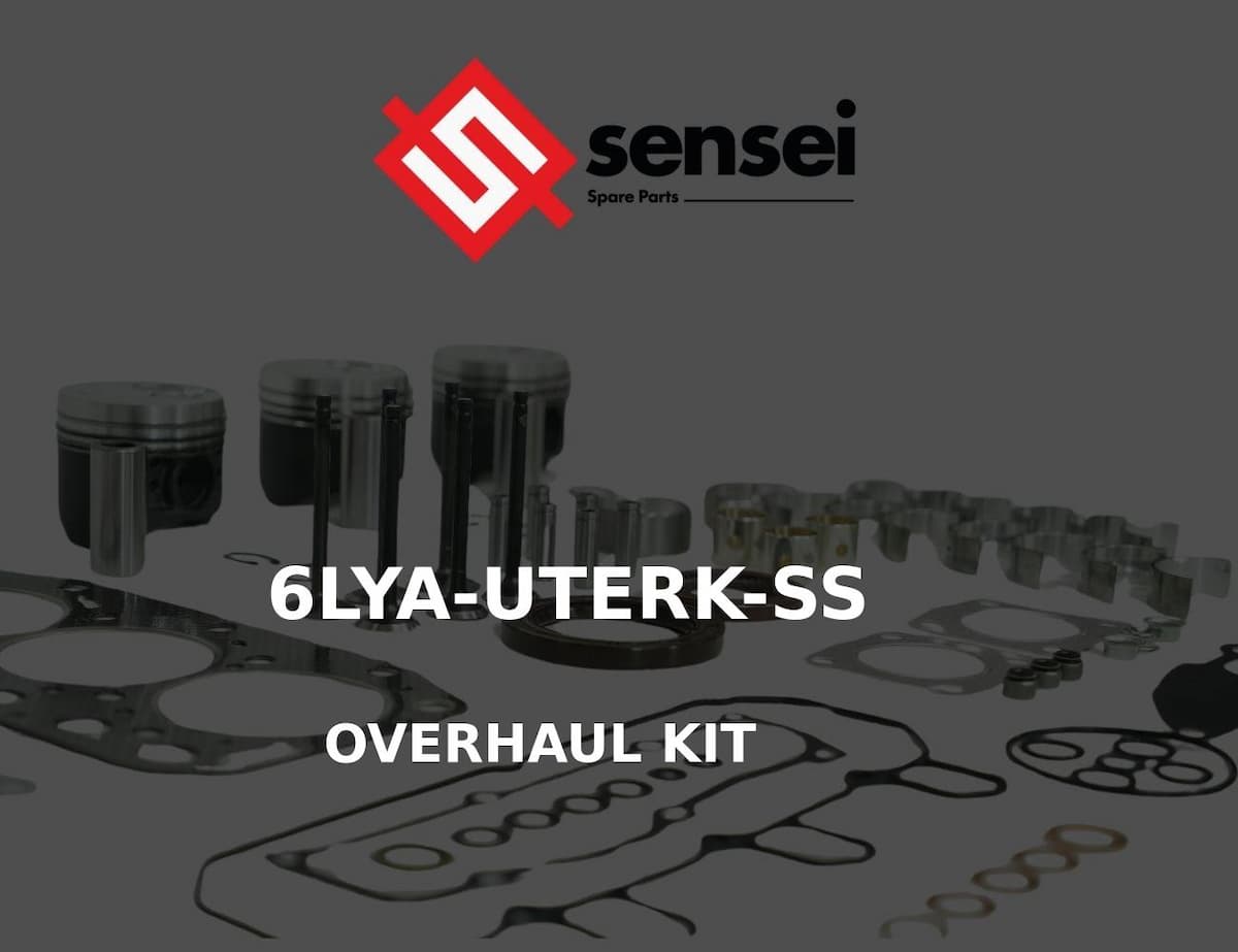 OVERHAUL KIT