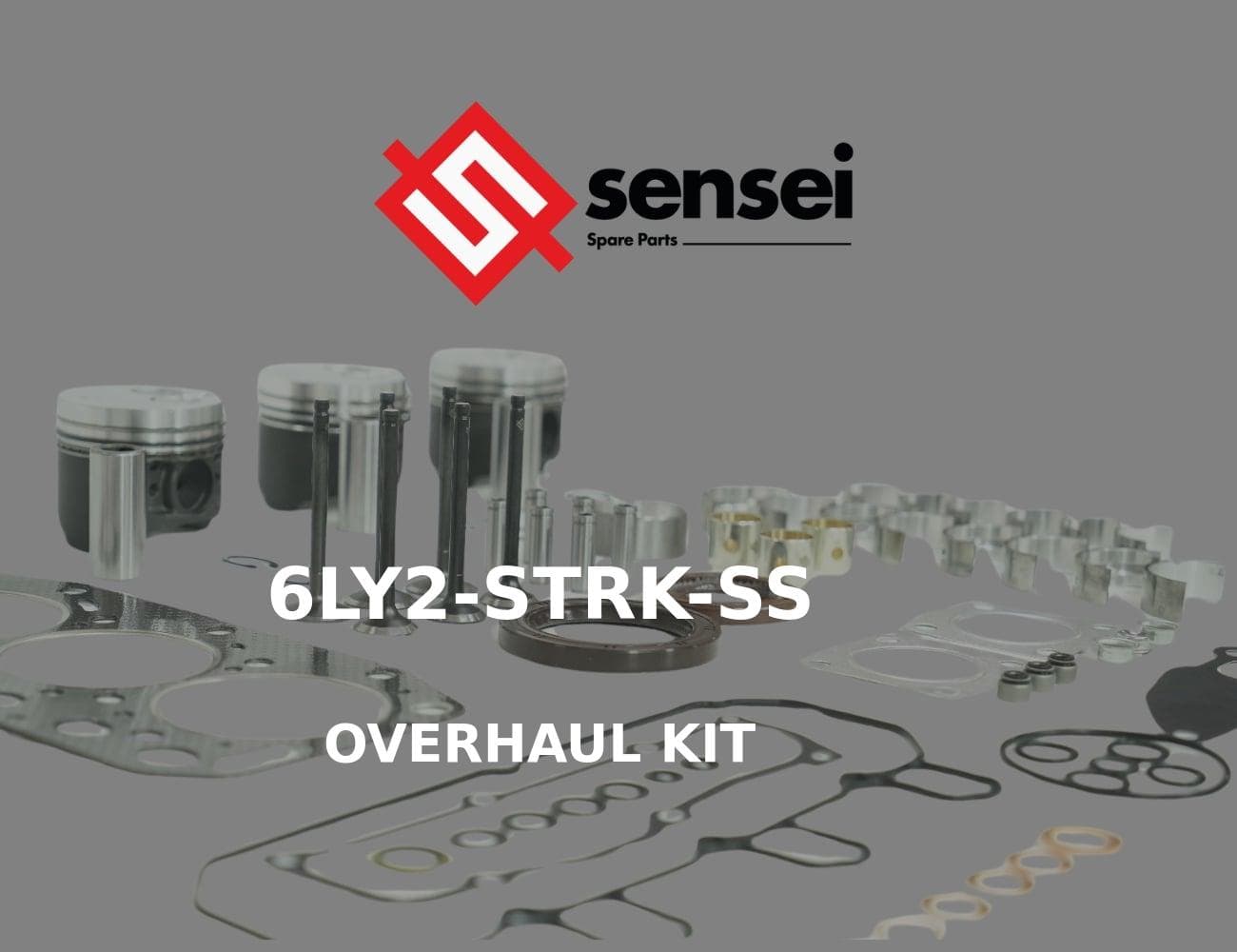 6LY2-STRK-SS
