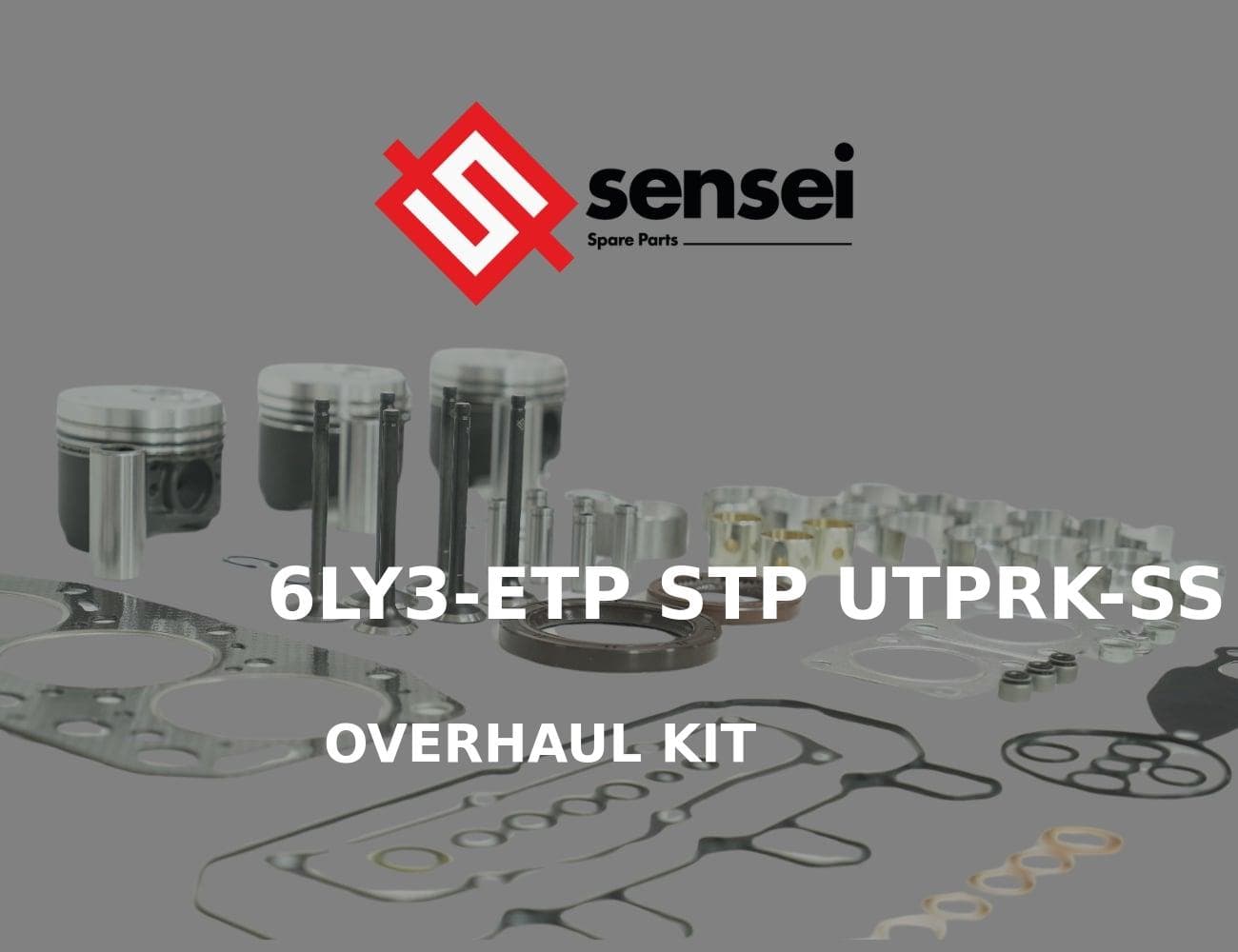 6LY3-ETP STP UTPRK-SS