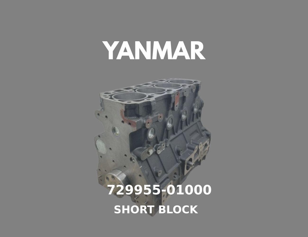 729955-01000