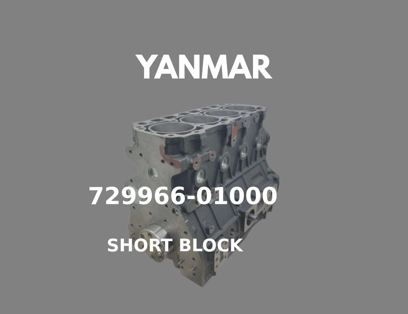 729966-01000