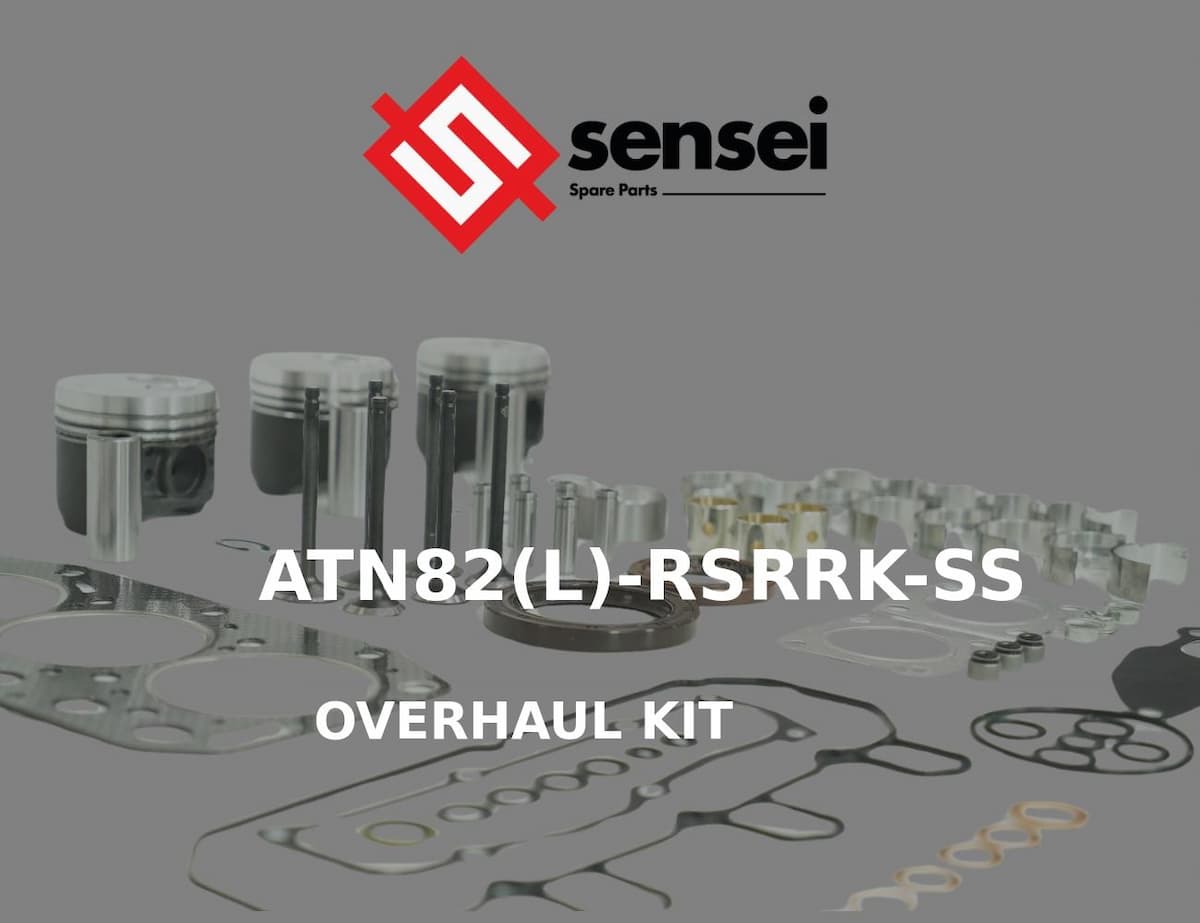 OVERHAUL KIT