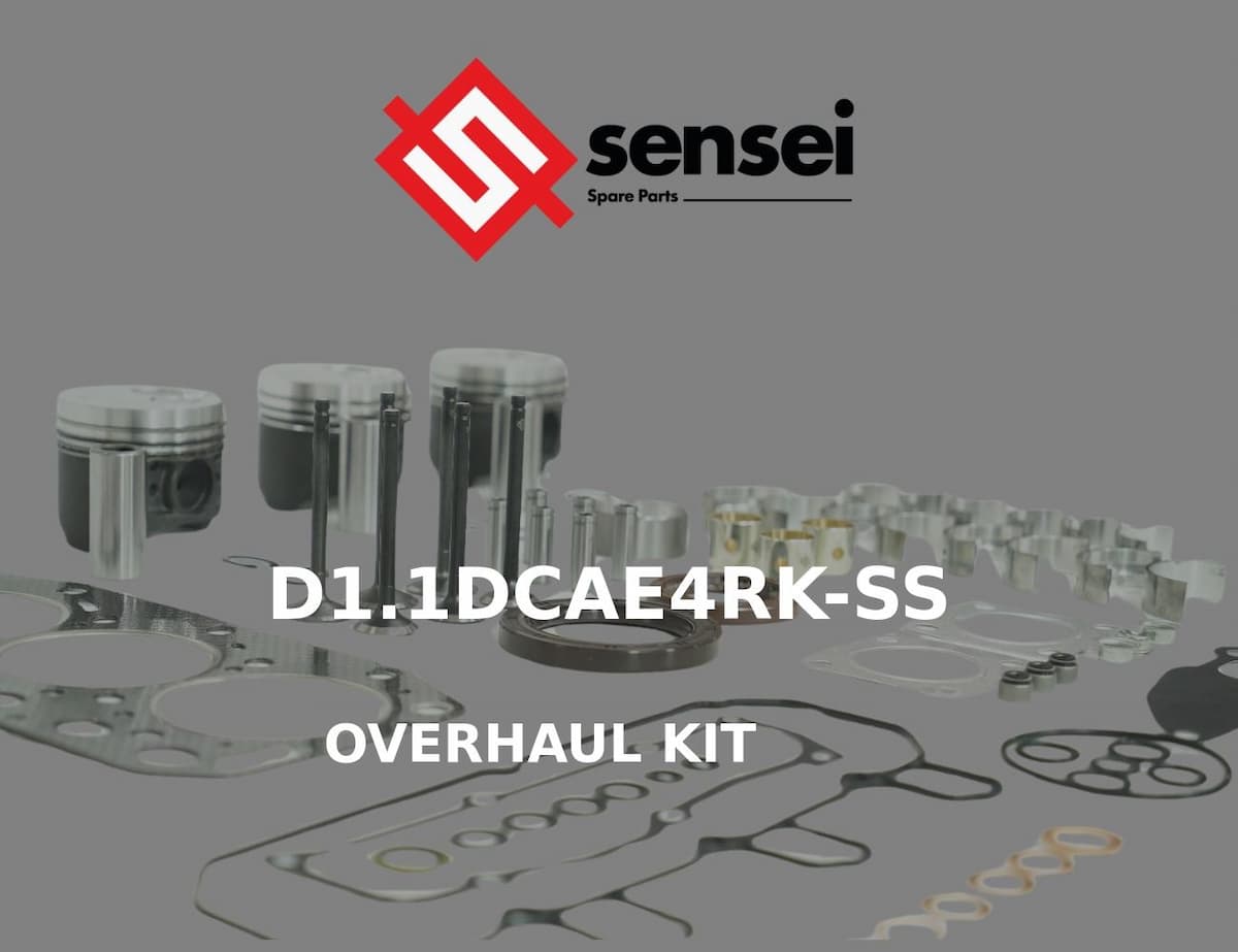 OVERHAUL KIT