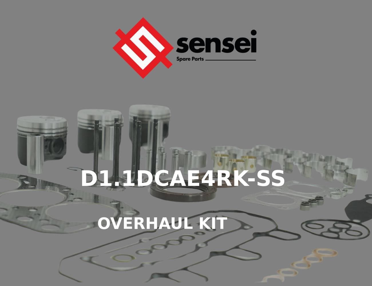 D1.1DCAE4RK-SS