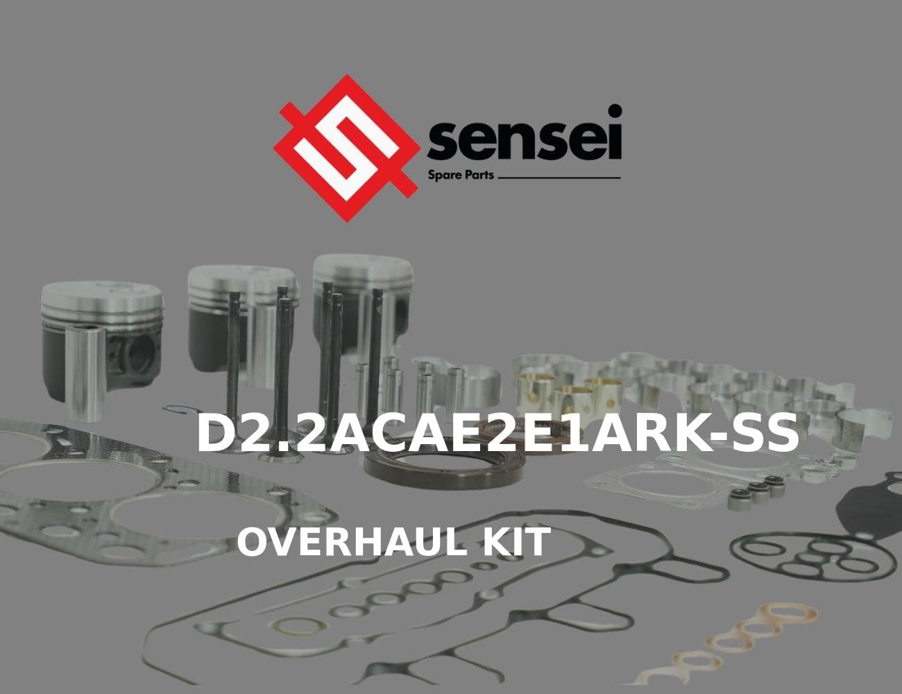 D2.2ACAE2E1ARK-SS