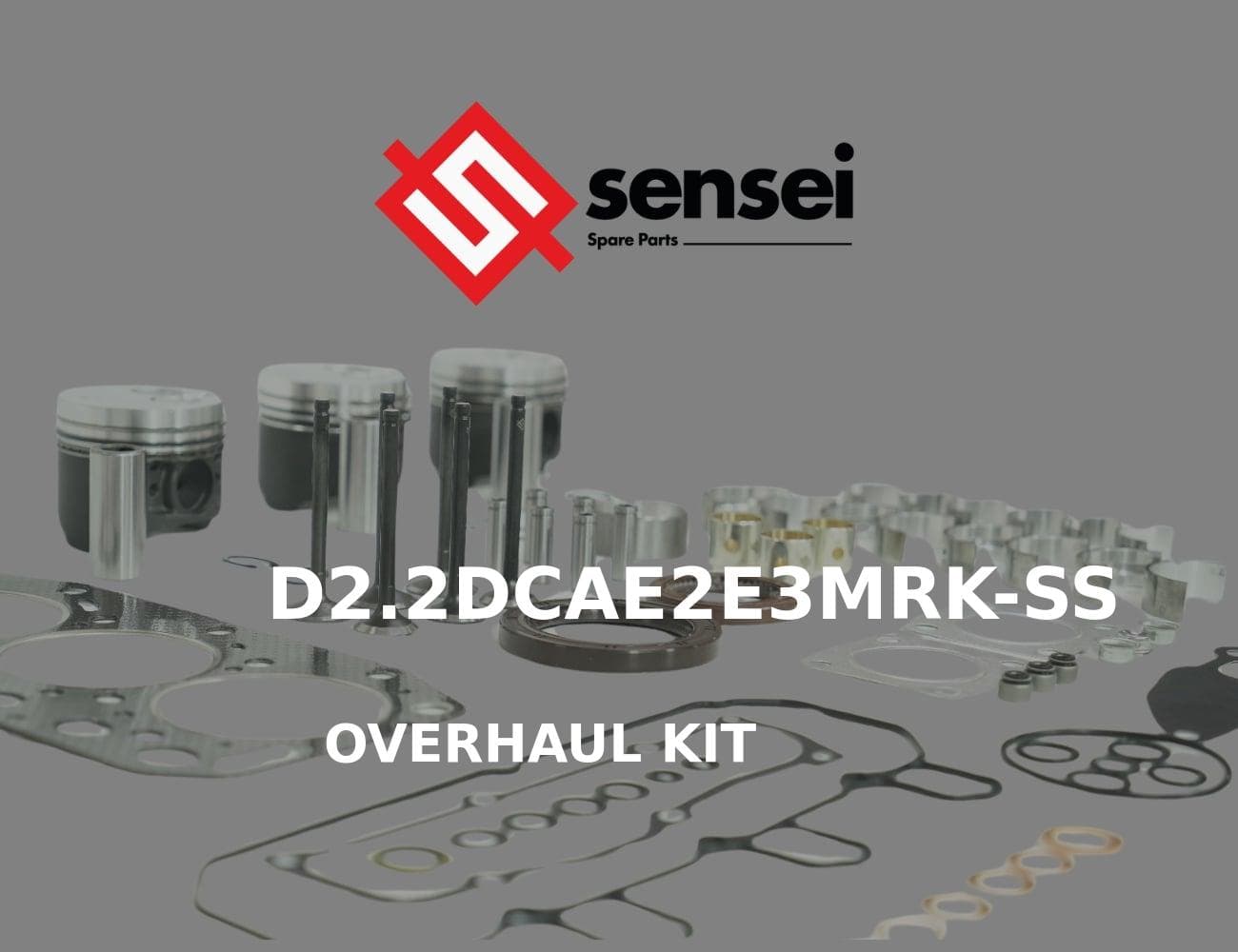 D2.2DCAE2E3MRK-SS