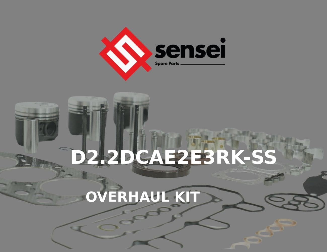 D2.2DCAE2E3RK-SS