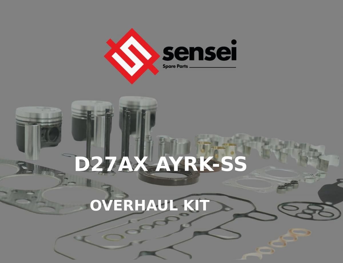 OVERHAUL KIT