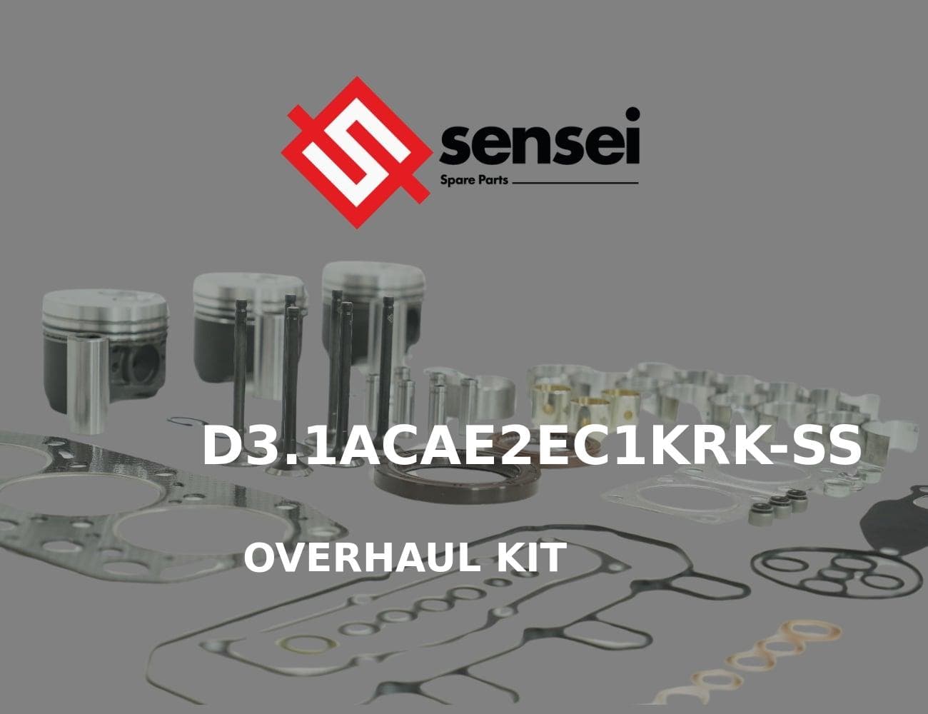D3.1ACAE2EC1KRK-SS