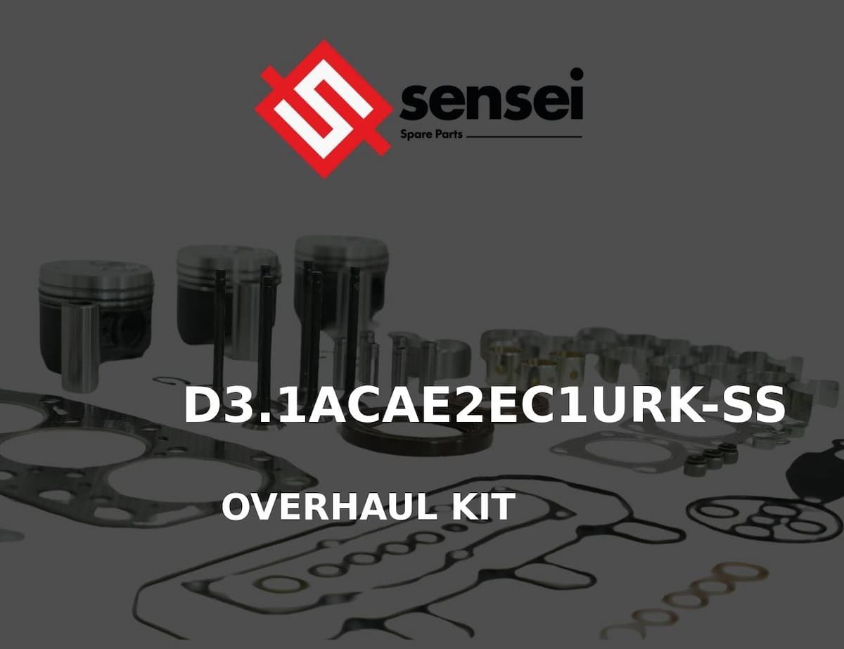 OVERHAUL KIT