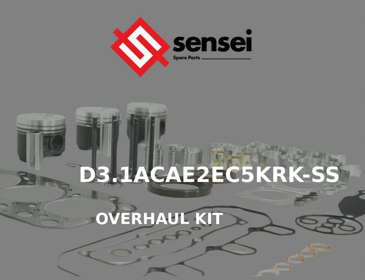 OVERHAUL KIT